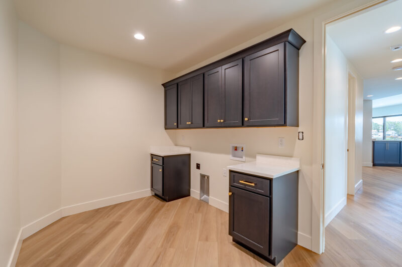 Basement Laundry room with black cabinets and gold hardware.