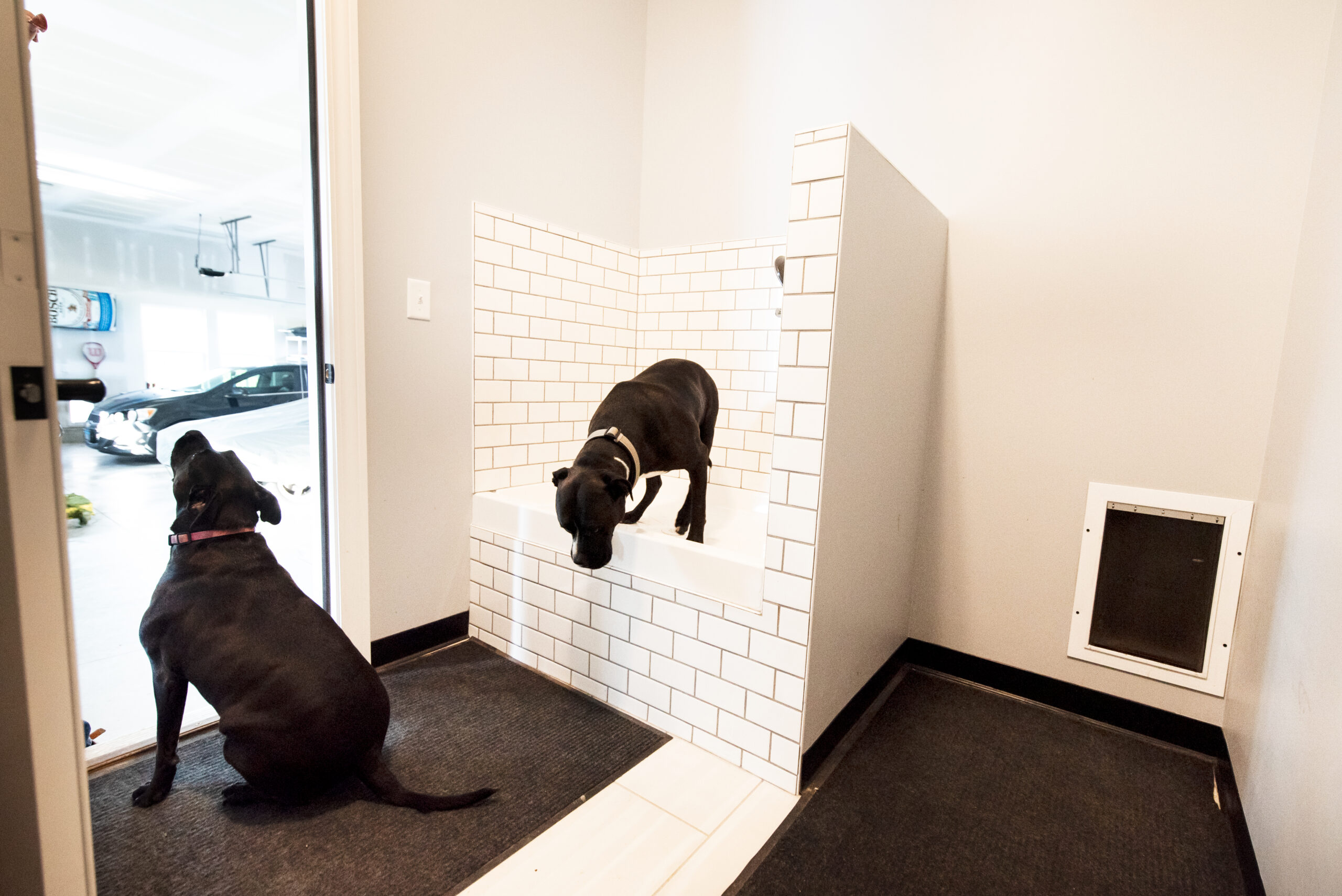 Doggie spa wash tub